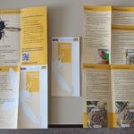 Flyer und Bestimmungskärtchen