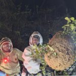 Abtötung Sekundärnest bei Nacht