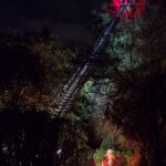Abtötung Sekundärnest bei Nacht