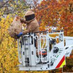 Sekundärnest Hubsteiger