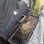 Primärnest am Grill