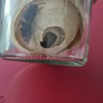 Spürhundestaffel braucht Übungsnester