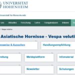 Uni Hohenheim - Newsletter und Bezugsquelle aktueller Informationen zur Vespa velutina nigrithorax (Vvn)