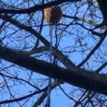 Warum es sich immer noch lohnt zu bekämpfen - oder ist die Saison schon vorbei ??