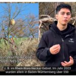 Videotipp: „Der unaufhaltsame Vormarsch der Asiatischen Hornisse“